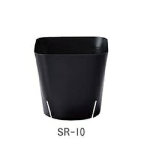 Gg[Ń|Cg10{IId||bgSR-10a10.5cm 8.7cm 1200