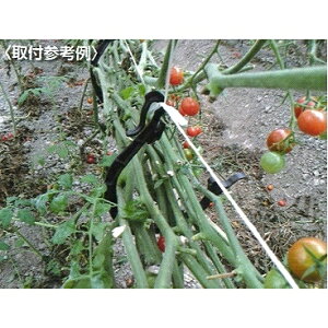�G���g���[�Ń|�C���g7�{ �s���b�NCP-642-1 500�� (�R�p)