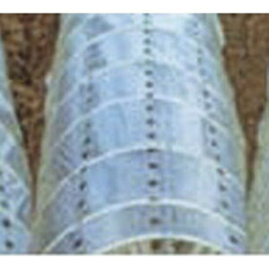 PO gl E3×185cm×100mX0.05mm 2{Zbg i (POtB rj[ _Ǝ gl rj[  _ glrj[  K[fjO   |p