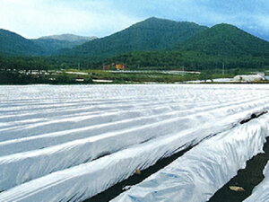 Gg[Ń|Cg10{IIcC}`@⍕@0.023mmX135cmX200m@2{Zbg