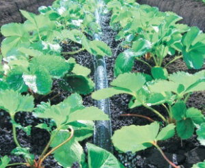 lIhbv 02L EGV^ 200m ( {_ƃVXe Z_Ǝ `[u ~Xg _H   U _ | ƒ ؉ K[fjO ܂ T  )