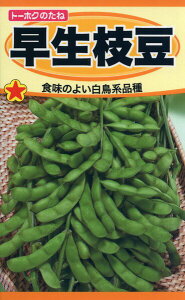 �G�_�}���̎�@�����}���@30ml�@�i��1583�@��q�@����