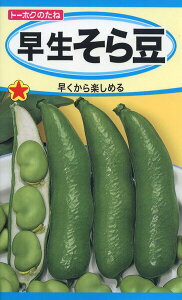 \}̎@瓤@35ml@i6463@q@