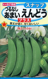 GhE̎@Ȃ܂ǂ@vX@30ml@i1663@q@