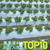 国産オリジナル 白黒マルチ（無孔） 厚さ0.021mm×幅150cm×長さ200m 3本セット 直送品 (遮光 マルチシー…