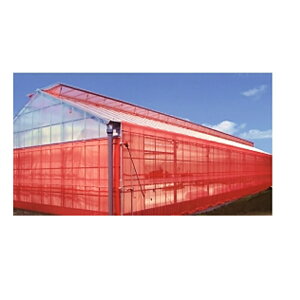 TTlbg NXbh XR-3200 0.6mm×180cm×100m@i