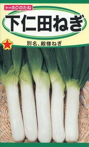 lM̎@mc˂@5ml@i3174@q@