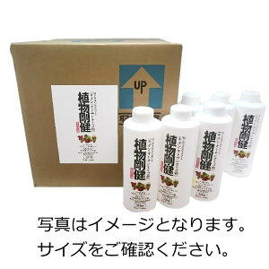 A 20L( K[fjOObY t t̔엿 엿 |pi _Ǝ ƒ؉ _Ɨpi | _  K[fjOpi K[fjO _Ɨp _Ɠ |p |p | {