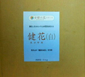 (XRJ) 5kg( K[fjOObY t t̔엿 엿 |pi _Ǝ ƒ؉ _Ɨpi | _  K[fjOpi K[fjO _Ɨp _Ɠ |p |p |