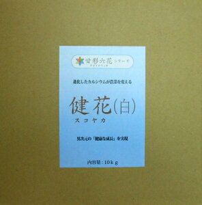 h|Cg5{Ih(XRJ) 10kg(|pi _Ǝ ƒ؉ _Ɨpi | _  K[fjOpi K[fjO _Ɨp _Ɠ |p |p | {_ƃVX