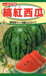 スイカ 種の通販 価格比較 価格 Com