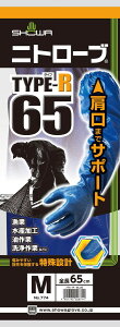 �j�g���[�u TYPE-R 65M
