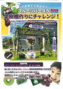 t[cp[S L^Cv Ж1.2m×2.0m×s2.4m ( {_ƃVXe ZLXC ϐ _ | ƒ ؉ x ʎI ʕ Ԃǂ イ Ђ傤 ւ   A )