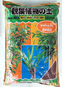 hGg[Ń|Cg5{Ih}OAv ϗtA̓y5L