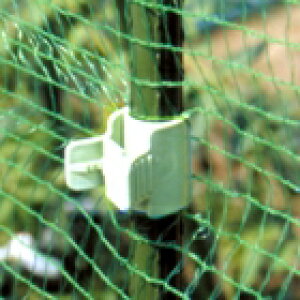 ؉񂽂pbJ[ a20mmp 10 CgO[ ( {_ƃVXe daim rj _ | ƒ ؉ Nbv Œ |ǒ| x C{| V[g lbg } )
