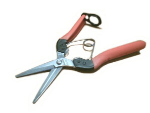 hGg[Ń|Cg5{IhT{eՌzpEAG-7L