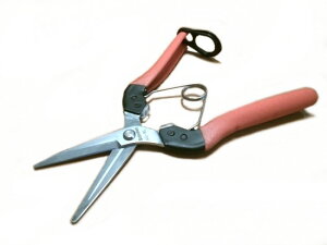 hGg[Ń|Cg5{IhT{eՌzpAG-8L