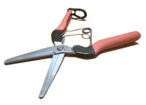 hGg[Ń|Cg5{IhT{eՌzpAG-10L