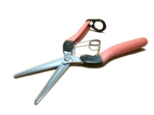 hGg[Ń|Cg5{IhT{eՌzpOAG-9L