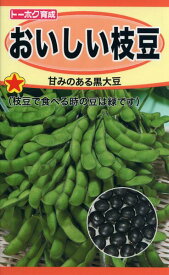 エダマメの種　おいしい枝豆　25ml　品番2005　種子　たね