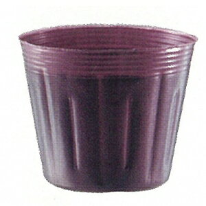 v~A|bg@`F[@a10.5cm@9.0cm@1500