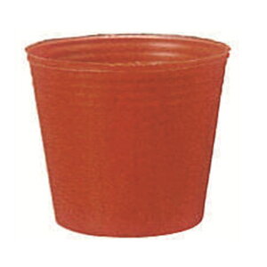 J[|bg a10.5cm×9cm  1500