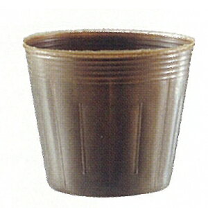 v~A|bg@Vp@a10.5cm@9.0cm@1500