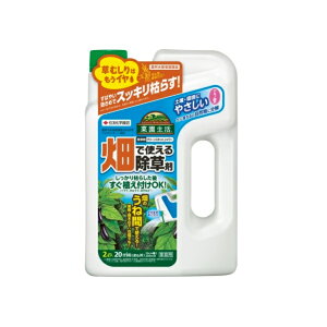 Gg[Ń|Cg10{IIO[XLbgV[@2L