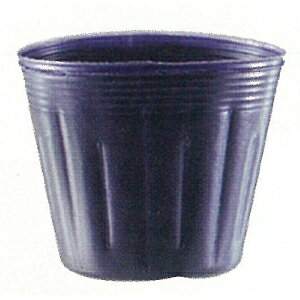 v~A|bg@u[x[@a10.5cm@9.0cm@1500