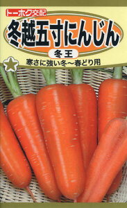 jW̎@F1@~zܐɂ񂶂@~@5ml@i2395@q@