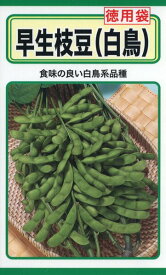 エダマメの種　早生枝豆　（徳用袋）　65ml　品番1586　種子　たね