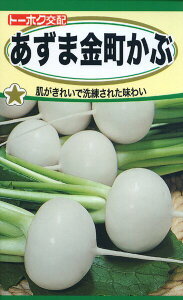 Ju̎@F1@܋ԁ@4ml@i3586@q@