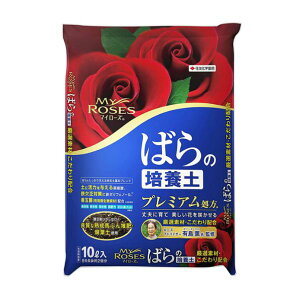 }C[Y΂̔|{y@10L ( }C[Y΂̂΂悤 )