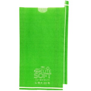 Gg[Ń|Cg10{IINE\tgGYij[G[g\tgj@VO[@220mmx320mm@100( NE\tgGƂY )