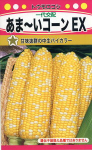 �g�E�����R�V�̎�@F1�@���܁[���R�[���@EX�@22ml�@�i��3367�@��q�@����