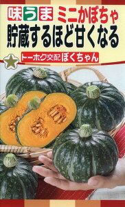 �J�{�`���̎�@F1�@��������قǊÂ��Ȃ�@�~�j���ڂ���@�ڂ������@3ml�@�i��3048�@��q�@����