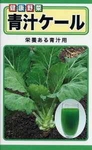 P[̎@`P[@3ml@i3308@q@