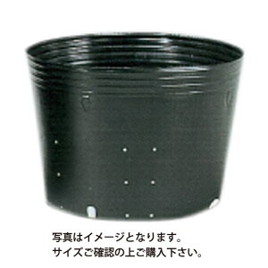 Gg[Ń|Cg10{II||bgۑ 30 30.5cm 1 ( ||bg܂邻߂ )