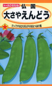 GhE̎@傳₦ǂ@30ml@i1269@q@