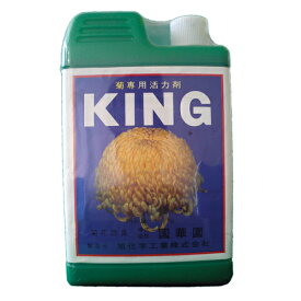 KING1kg