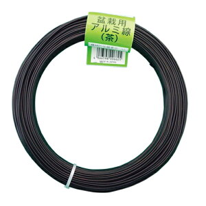 Gg[Ń|Cg10{II~͗pA~J[300g2.0mm