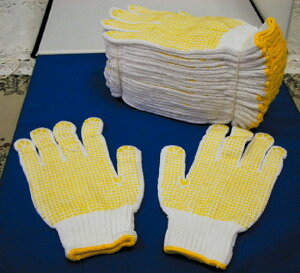 Gg[Ń|Cg10{IIR肷ׂ~ 12o