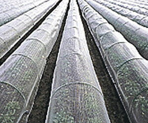 hlbg TTlbgEX2000 1mm 1.8m×100m 90%(h lbg | _Ǝ |pi _  _Ɨp ƒ؉ lbg 悯lbg h K[fjOpi ؉p gl 