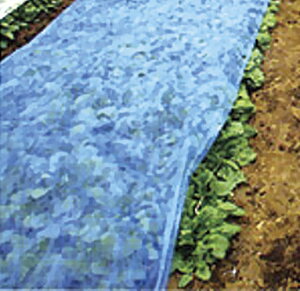 pIpI 200M×1.5M ۉp ( 悯 Jo[ |  sDz _ƗpsDz ۉV[g _Ǝ ۉ _Ɨp |p | K[fjO K[fpi _ ƒ