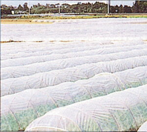 ΃t 120cm×100m ( gl͔| glp sDz _ƗpsDz ۉV[g _Ǝ ۉ _Ɨp |p | K[fjO K[fpi _ ƒ؉ ֗ Ob