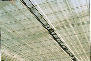 Gg[Ń|Cg10{IIrj[nEXp Tj[R[g 115cmX100m (  nEX͔| rjnEX ۉV[g _Ǝ ۉ _Ɨp |p | K[fj