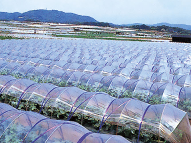 楽天市場】農ポリ厚さ0.07mm×幅150cm×長さ100m２本セット : 日本農業