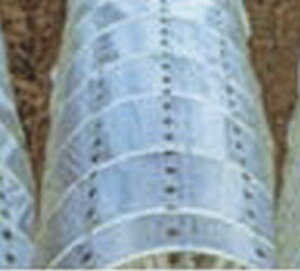 h|Cg5{IhPO gl E3X185cmX100mX0.05mm i (gl rj[ _Ǝ  _ ƒ؉   |pi K[fjO _Ɨp glr