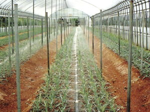 X~z[X mY 50m 400mmsb` (  T K[fz[X ܂z[X  z[X Upi _Ǝ |pi _Ɨp z[X | K[fjO pi K[fjOpi