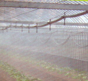 ミストエース20 ハウスクール02L 100m (潅水 農業資材 散水チューブ 灌水チューブ ビニールハウス 潅水チューブ 家庭菜園 園芸用品 農作業 便利 グッズ ハウス 灌水 散水 園芸資材 農業用資材